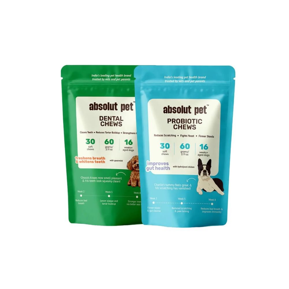 Absolut Pet Dog Supplement for Oral Care | Dental Health Support Chewable Supplement for Dogs