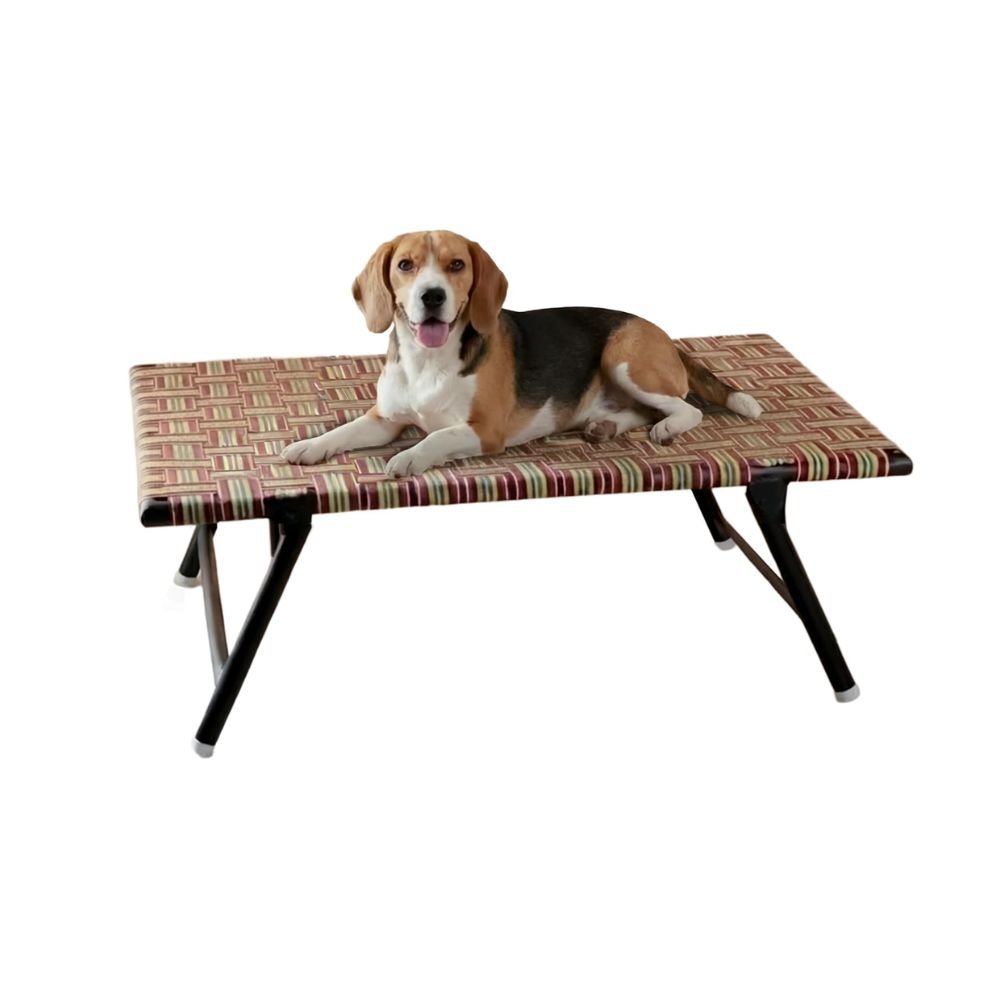 Amazon Basics Leg Fold Dog Pet Bed Portable Elevated Folding Dog Bed Comfortable Breathable Raised Cot for Dogs