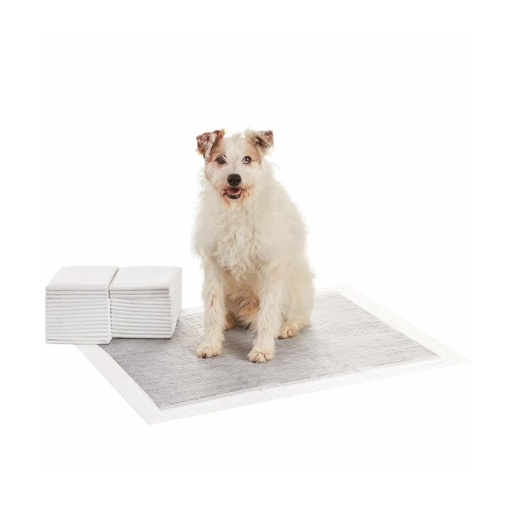AmazonBasics Pet Pee Pads for Potty Training Leak Proof Absorbent Dog Training Pads for Indoor Use