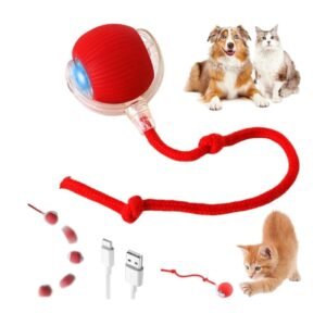Pet Toys for Dogs & Cats