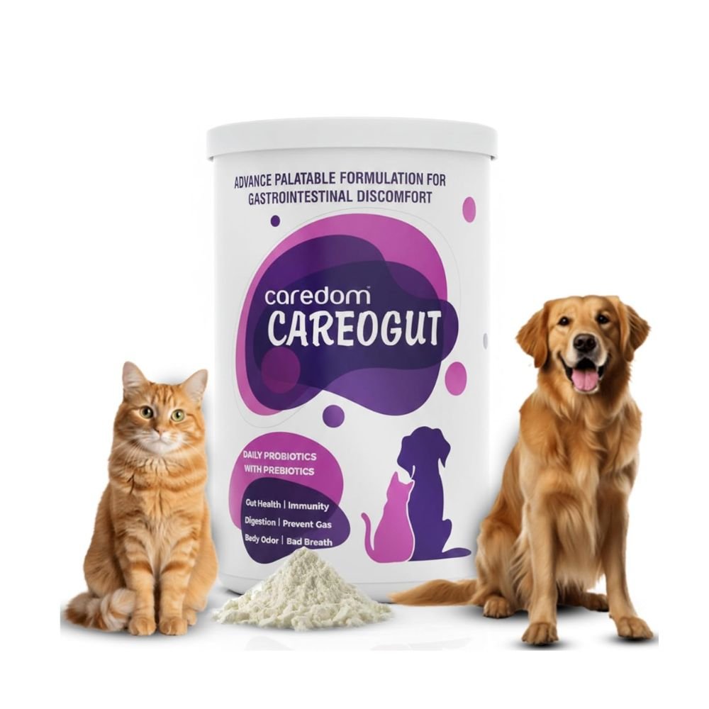CAREOGUT Prebiotics & Probiotics for Dogs and Cats – Digestive Health, Gut Balance & Immunity Support Formula