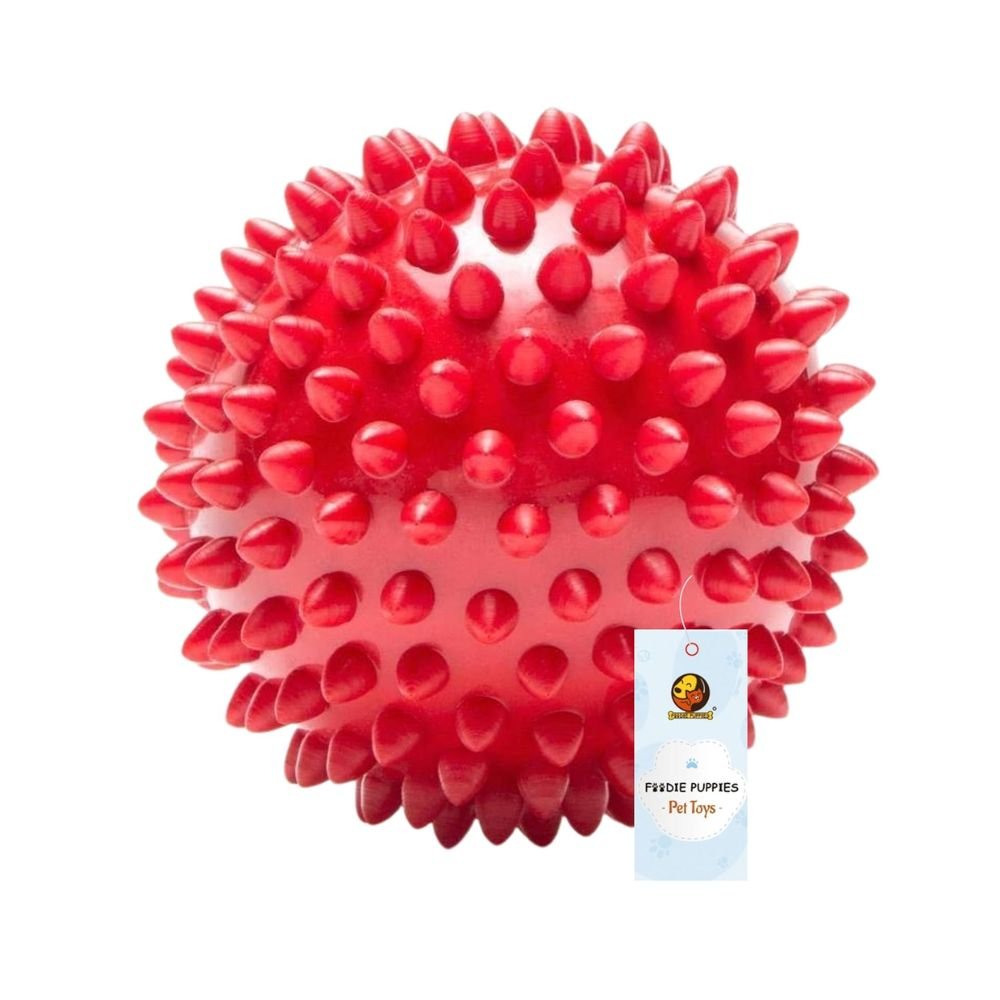 Foodie Puppies Natural Rubber Spike Ball for Dogs | Durable Spiky Chew Toy for Dental Care & Play